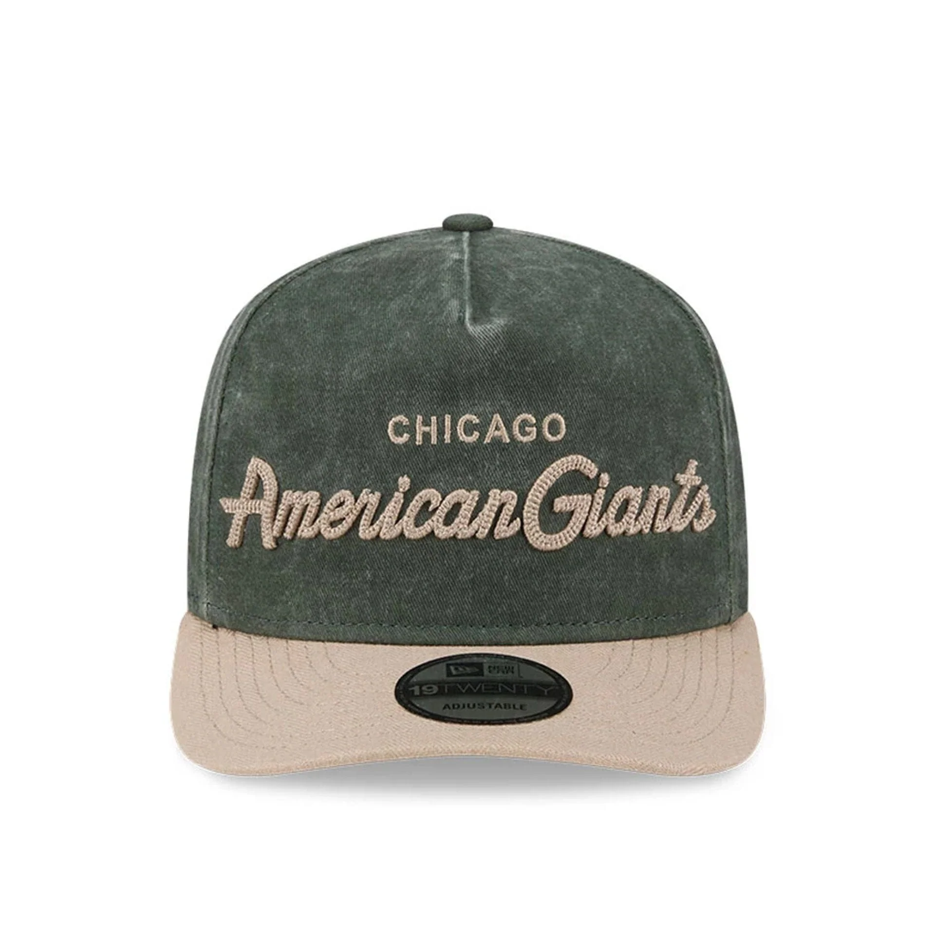 Chicago American Giants MLB Negro League Dark Green 19TWENTY Adjustable Cap - Image 3