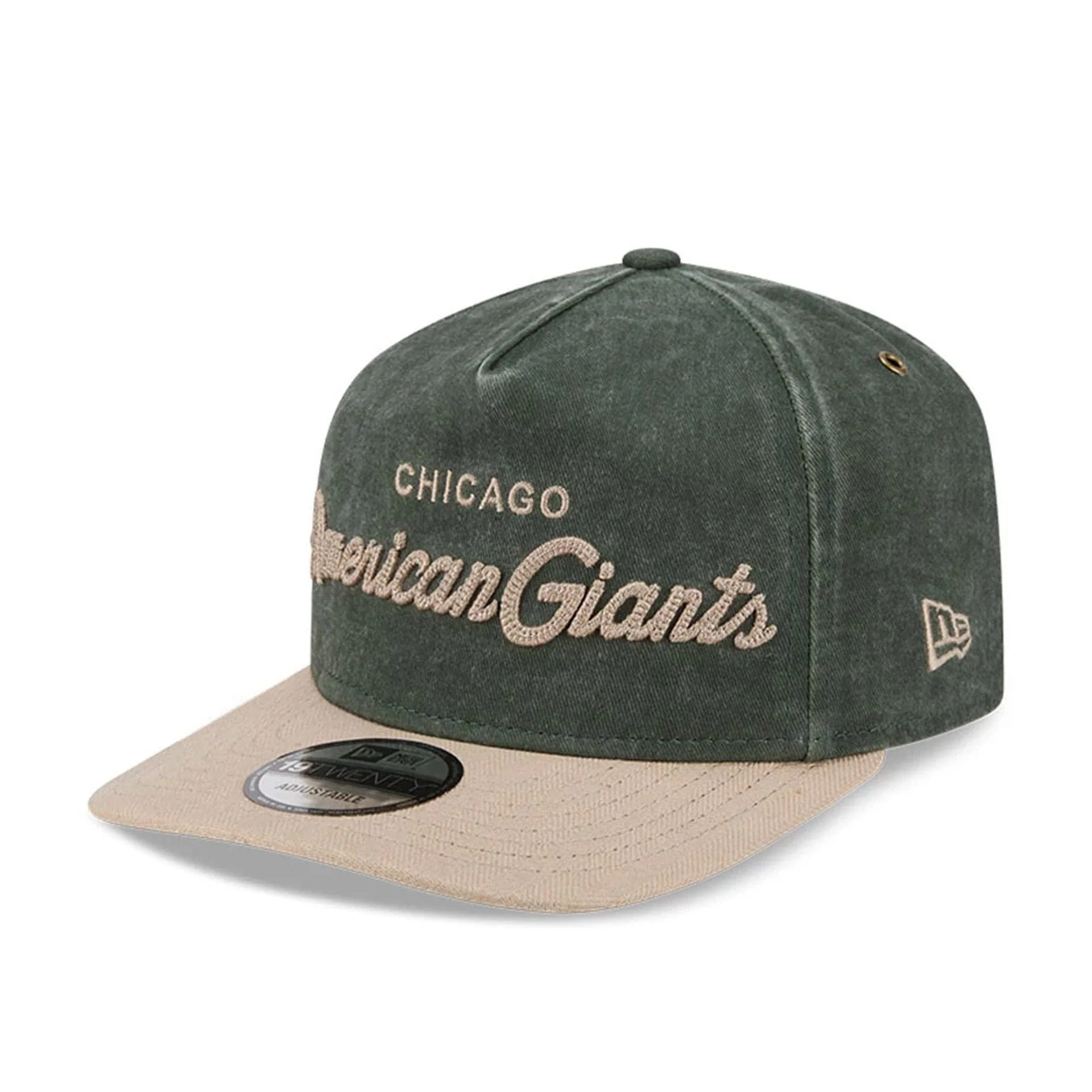 Chicago American Giants MLB Negro League Dark Green 19TWENTY Adjustable Cap - Image 4
